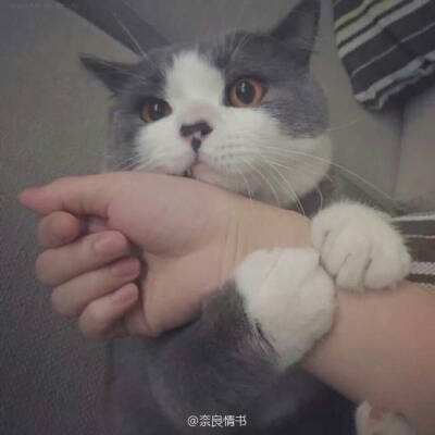 战神传说变态版下载