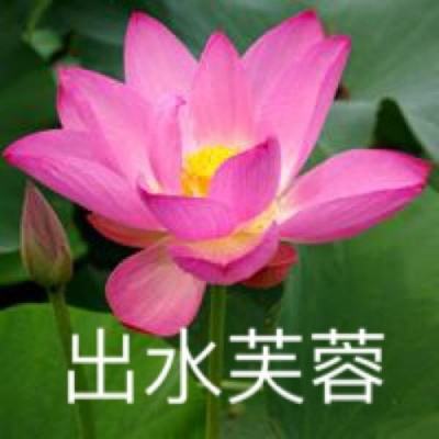 poki小游戏下载